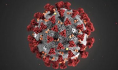 Coronavirus : l’Afrique face à la pandémie des fake news